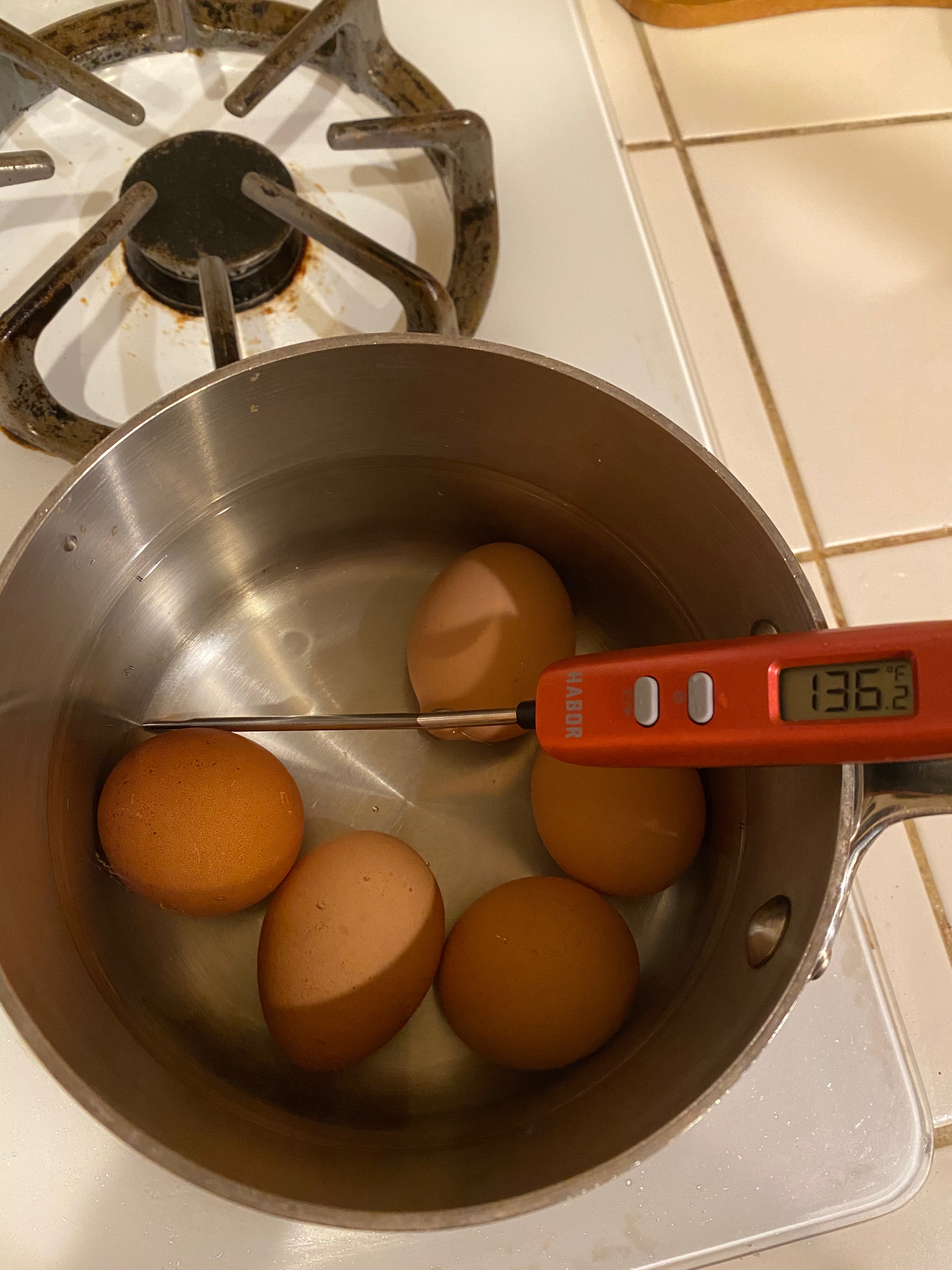 Figure 5: Thin strips in yolk sauce was my favorite; it adds a particular creaminess. Pasteurize at 147F for at least 5 mins to kill germs.